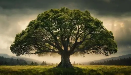 Related Readings Image: Comment les systèmes de gestion de contenu créent de la valeur pour l'entreprise