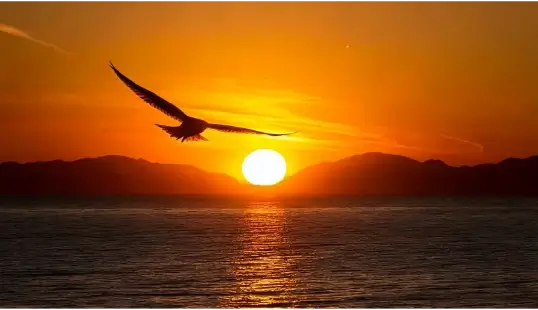 Related Readings Image: Pourquoi les entreprises devraient-elles adopter un CMS sans tête pour une gestion de contenu flexible et évolutive ?