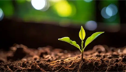 Related Readings Image: Pourquoi il est essentiel de donner la priorité à l'évolutivité dès le départ pour assurer le succès d'une application Web